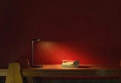 Flos Oblique Lamp, 2020 -Online Furniture Shop Flos Vinvent Van Dyusen Oblique Lamp black 5