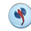 Fishkoi Round Tray 1 Fishkoi Round Tray -Online Furniture Shop Gangzai Fishkoi round tray