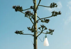 Flos Mayday Outdoor, 2022 -Online Furniture Shop May Day Lamp outdoor black 5