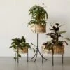 Menu Umanoff Planter, 1961 -Online Furniture Shop Menu Arther Umanoff Umanoff Planter 1