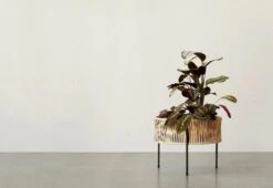 Menu Umanoff Planter, 1961 -Online Furniture Shop Menu Danielle Siggerud Umanoff Planter medium 3