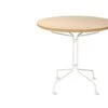 Gazelle Standard, 1951 -Online Furniture Shop Race Funiture Ernest Race Gazelle table