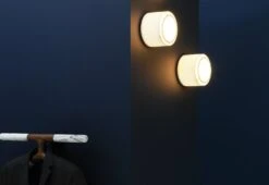 Wall/ceiling Light G13, 1952 -Online Furniture Shop Sammode Pierre Guariche G13 wall light 6