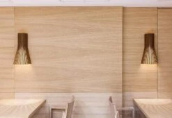 Secto 4231 Wall Light -Online Furniture Shop Secto Seppo Koho 4231 7