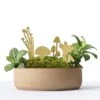 Mini Plant Mushrooms, 2018 1 Mini Plant Mushrooms, 2018 -Online Furniture Shop another studio mini mushrooms 2