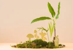 Mini Plant Mushrooms, 2018 -Online Furniture Shop another studio mini mushrooms 3