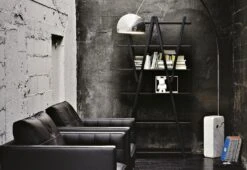 114 Nuvola Rossa Bookcase, 1977 -Online Furniture Shop cassina nuvola roasa lifestyle 1