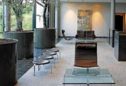 Fritz Hansen PK20 Chair, 1968 -Online Furniture Shop fritz hansen PK Series