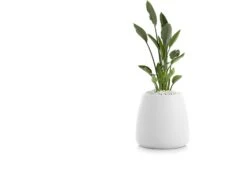 Gobi Planter -Online Furniture Shop gobi 1 gandia blasco twentytwentyone 7