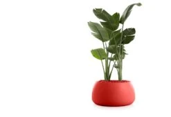 Gobi Planter -Online Furniture Shop gobi 3 gandia blasco twentytwentyone 1
