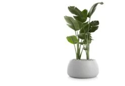 Gobi Planter -Online Furniture Shop gobi 3 gandia blasco twentytwentyone 2