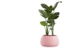 Gobi Planter -Online Furniture Shop gobi 3 gandia blasco twentytwentyone 7