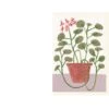 Scented Geranium Card 1 Scented Geranium Card -Online Furniture Shop hadleypapergoods geranium card