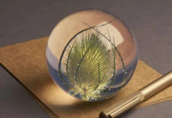 Teasel Paperweight