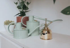 Brass Mist Sprayer -Online Furniture Shop haws mist sprayer brass 3