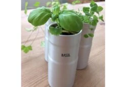 Italian Herb Kit -Online Furniture Shop italian herb kit 7