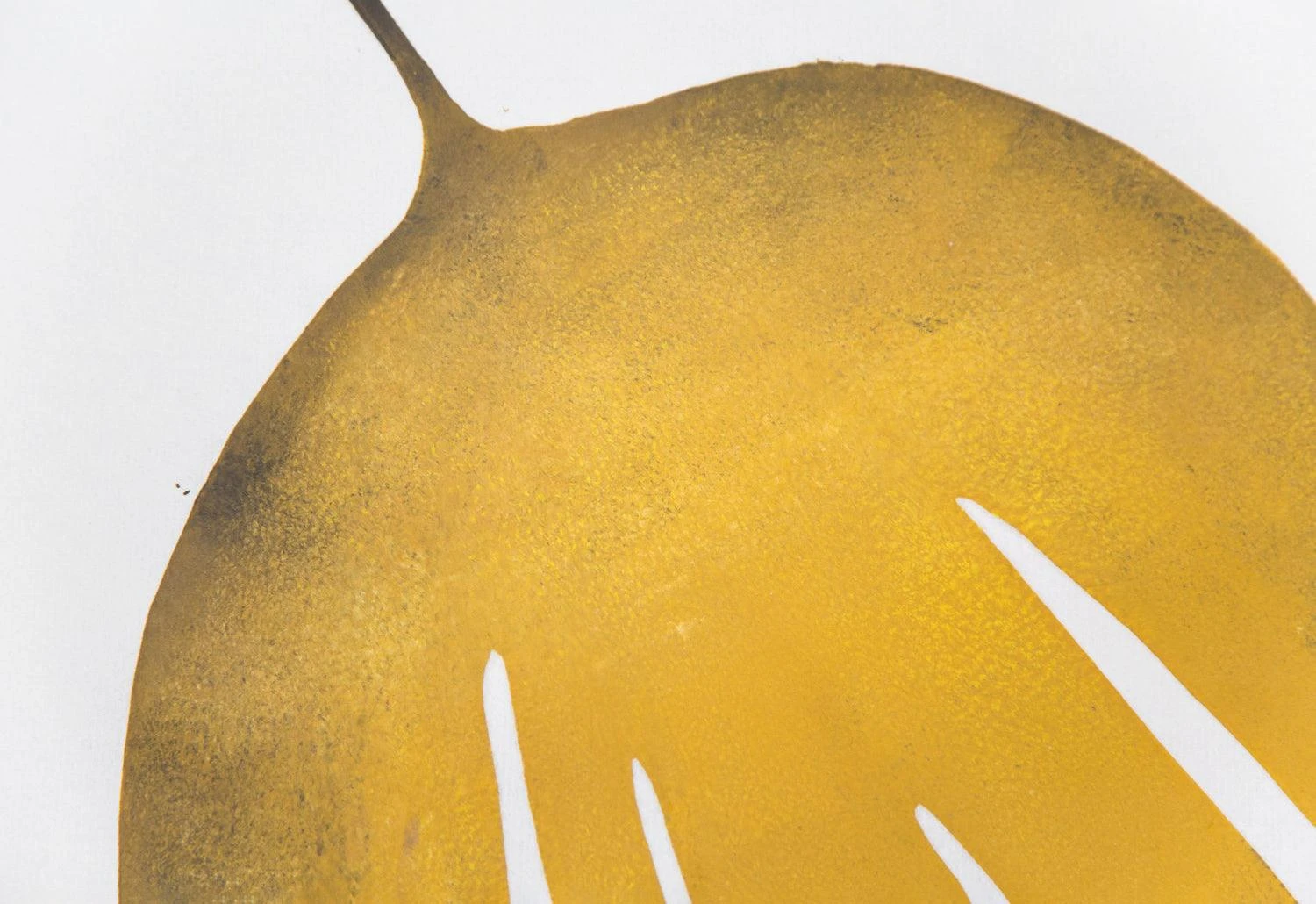 Kombu Kelp Print, 2015 4 Kombu Kelp Print, 2015 - Image 2