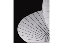 Serpentine Light Pendant, 2022 -Online Furniture Shop moooi front serpentine light 5