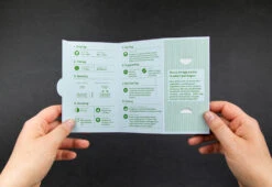 Piccolo Herbal Teas Seed Collection -Online Furniture Shop piccolo herb tea collection 3