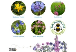 Project Maya Bee Box -Online Furniture Shop project maya wildlife bee box 5