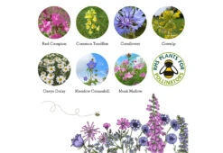 Project Maya Bee Box -Online Furniture Shop project maya wildlife bee box 8