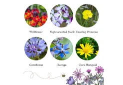 Project Maya Wildlife Seed Box -Online Furniture Shop project maya wildlife seed box bat