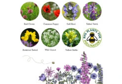 Project Maya Wildlife Seed Box -Online Furniture Shop project maya wildlife seed box hedgehog