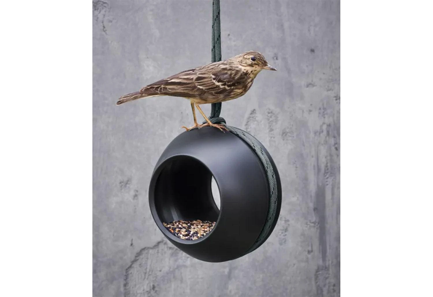 Rosendahl Multi Bird Feeder 5 Rosendahl Multi Bird Feeder - Image 3