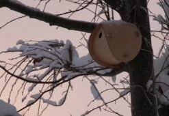 Flat Pack Bird House, 2011 -Online Furniture Shop smithmatthias flat pack bird house 7