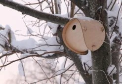 Flat Pack Bird House, 2011 -Online Furniture Shop smithmatthias flat pack bird house 8