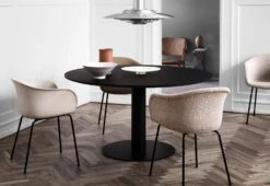 Elefy JH29 Chair -Online Furniture Shop tradition Jamie Hayon Elefy JH29 5