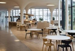 Saya Dining Chair, 2012 -Online Furniture Shop twentytwentyone Arper Saya Dining chair 5