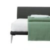 Bed NB/152, 1991 -Online Furniture Shop twentytwentyone Cappellini NB Bed 1