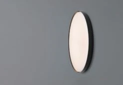 Flos Clara Wall/Ceiling Light, 2014 -Online Furniture Shop twentytwentyone Flos Clara wall ceiling light 3