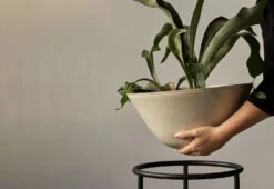 Menu Daiza Planter, 2023 -Online Furniture Shop twentytwentyone Menu Daiza Planter 1