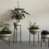 Menu Daiza Planter, 2023 -Online Furniture Shop twentytwentyone Menu Daiza Planter 3