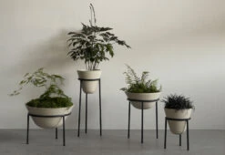 Menu Daiza Planter, 2023