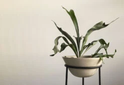 Menu Daiza Planter, 2023 -Online Furniture Shop twentytwentyone Menu Daiza Planter 8