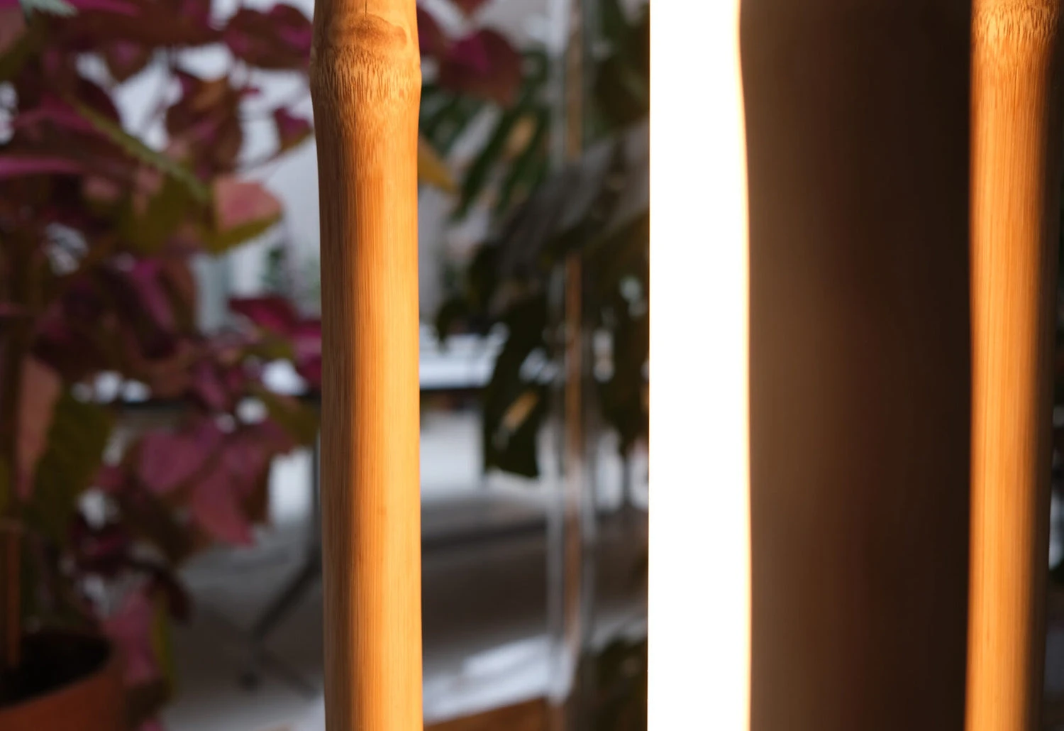 Ta-ke 3 Floor Light, 2022 5 Ta-ke 3 Floor Light, 2022 - Image 3