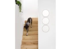 Glance Wall Mirror 11 Glance Wall Mirror -Online Furniture Shop twentytwentyone wirework glance mirror 3