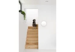 Glance Wall Mirror 10 Glance Wall Mirror -Online Furniture Shop twentytwentyone wirework glance mirror 4