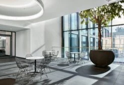 Vitra Eames DKR Wire Chair With Upholstery, 1951 22 Vitra Eames DKR Wire Chair With Upholstery, 1951 -Online Furniture Shop vitra eames dkr plastic chair featured 2 277eca1f 37d0 47aa 889f 59df092e2cfb