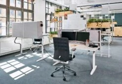 Vitra ID Trim Chair, 2010 23 Vitra ID Trim Chair, 2010 -Online Furniture Shop vitra id trim 14