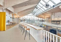 Vitra HAL Ply Stool -Online Furniture Shop vitra jasper morrison hal ply stool featured 2