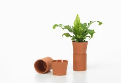 Vitra Terracotta Pots, 2023 -Online Furniture Shop vitra thelonious goupil terracotta pots 7