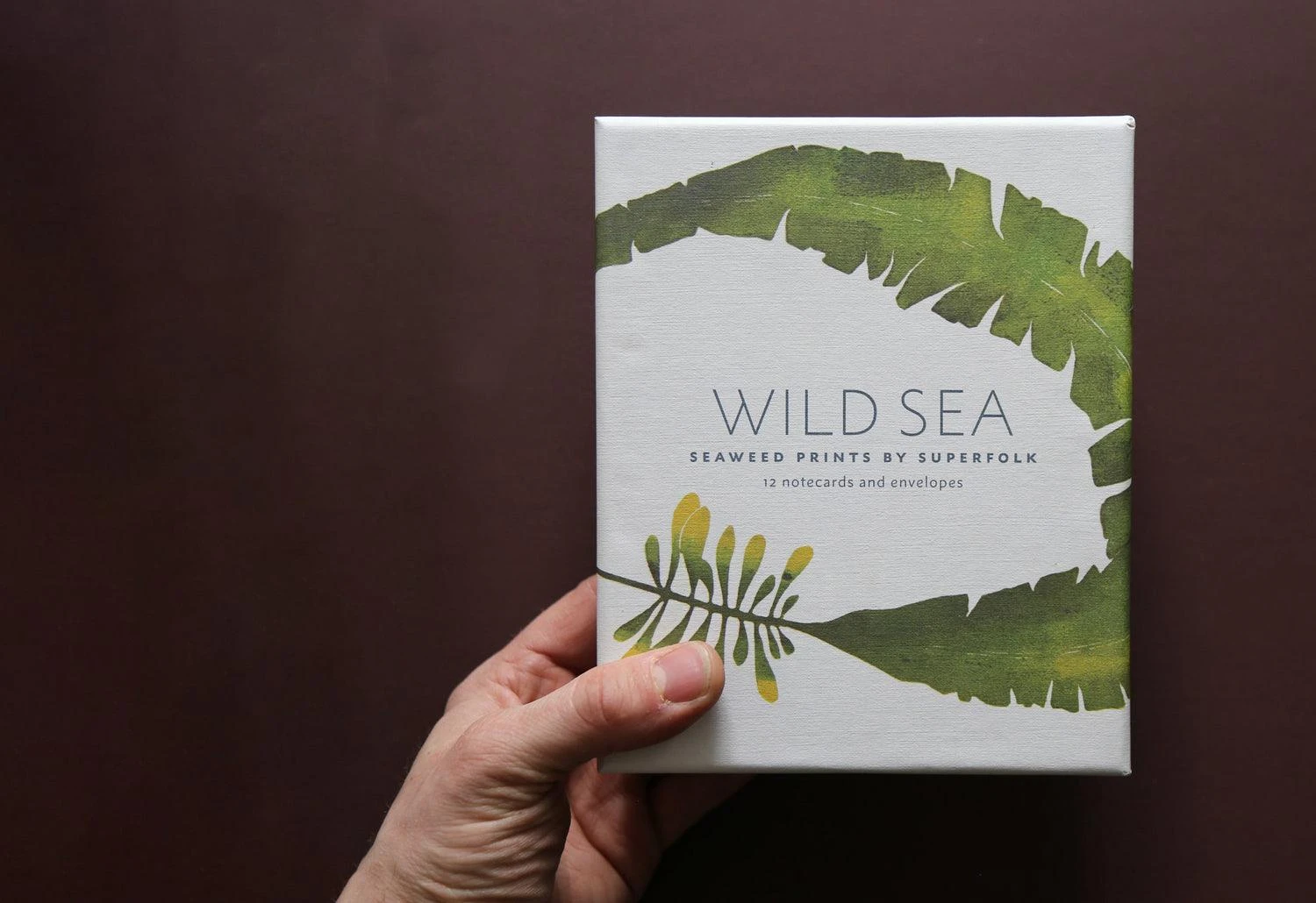 Wild Sea Notecards, 2015 3 Wild Sea Notecards, 2015