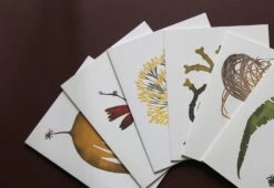 Wild Sea Notecards, 2015 7 Wild Sea Notecards, 2015 -Online Furniture Shop wild sea cards 3