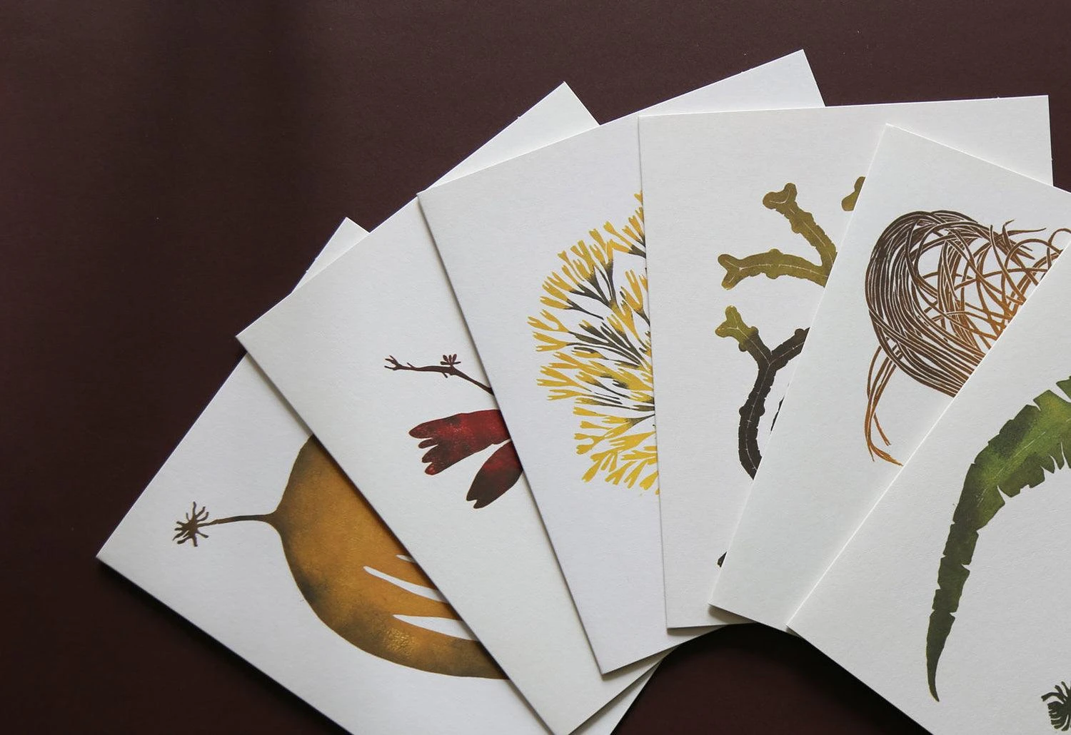 Wild Sea Notecards, 2015 5 Wild Sea Notecards, 2015 - Image 3